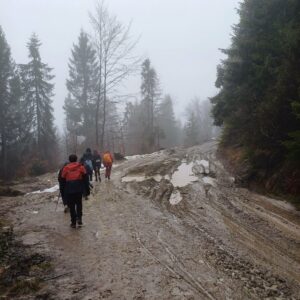 Bociany wylądowały na Turbaczu!