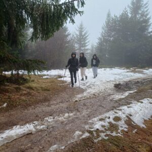 Bociany wylądowały na Turbaczu!