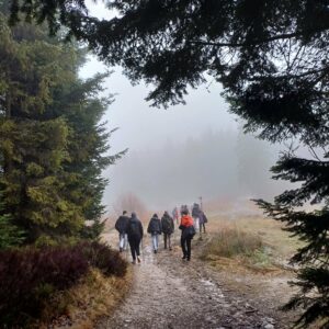 Bociany wylądowały na Turbaczu!