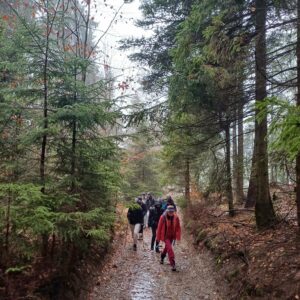 Grupa osób na leśnej drodze