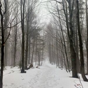 W ramach działalności szkolnego Koła Turystycznego „Bocian Trip” odbyło się kolejne wyjście górskie. Tym razem naszym celem była Mogielica – najwyższy szczyt Beskidu Wyspowego, wznoszący się na wysokość 1171 m n.p.m., należący do Korony Gór Polski.