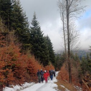 W ramach działalności szkolnego Koła Turystycznego „Bocian Trip” odbyło się kolejne wyjście górskie. Tym razem naszym celem była Mogielica – najwyższy szczyt Beskidu Wyspowego, wznoszący się na wysokość 1171 m n.p.m., należący do Korony Gór Polski.