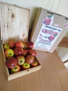 Zdemaskuj atrakcyjność – wybierz zdrowie!