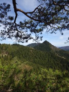 Widok na Pieniny